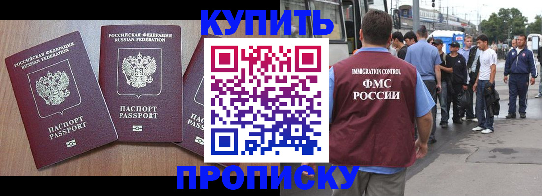 прописка 2025 в Дмитрове